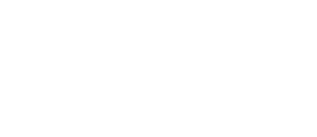 La Decima Musa